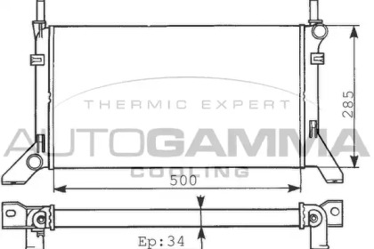  100338 autogamma