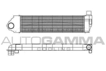  105578 autogamma