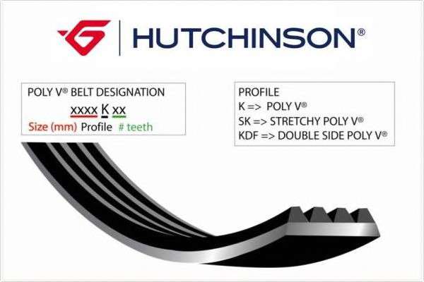  1030K5 HUTCHINSON   Poly V (1030 K 5) Hutchinson 