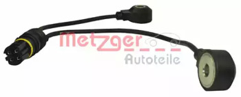  0907097 metzger